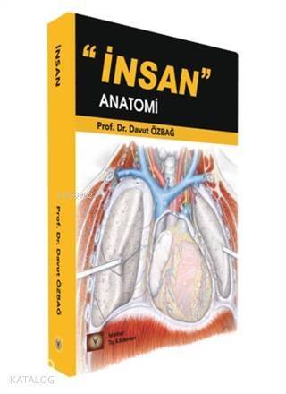 İnsan Anatomi - 1