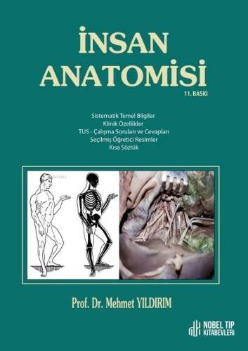 İnsan Anatomisi - 1