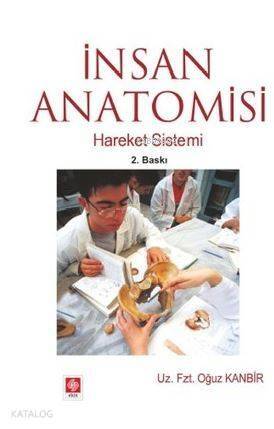 İnsan Anatomisi - 1