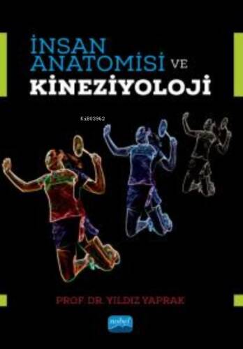 İnsan Anatomisi ve Kineziyoloji - 1