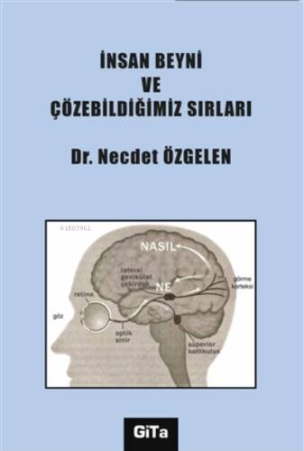 İnsan Beyni ve Çözebildiğimiz Sırları - 1