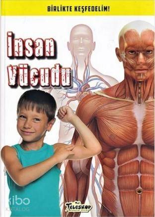 İnsan Vücudu - 1