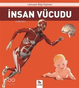 İnsan Vücudu - 1