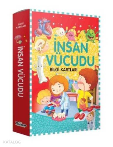 İnsan Vücudu - Bilgi Kartları - 1