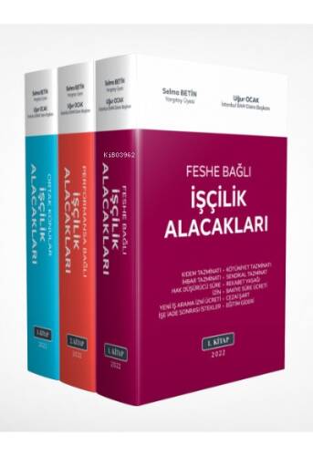 İşçilik Alacakları (3 Cilt) - 1