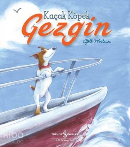 Kaçak Köpek Gezgin - 1