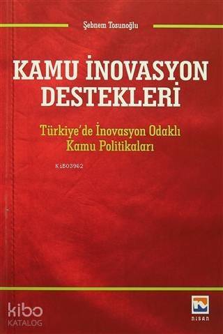 Kamu İnovasyon Destekleri; Türkiye'de İnovasyon Odaklı Kamu Politikaları - 1