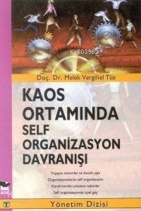 Kaos Ortamında Self Organizasyon Davranışı - 1