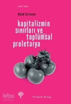 Kapitalizmin Sınırları ve Toplumsal Proletarya - 1