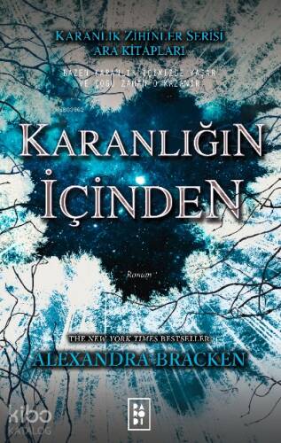 Karanlığın İçinden (Karanlık Zihinler Serisi Ara Kitapları) - 1