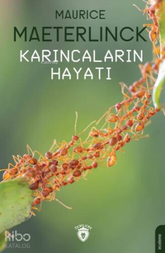 Karıncaların Hayatı - 1