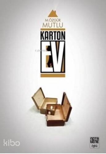 Karton Ev - 1