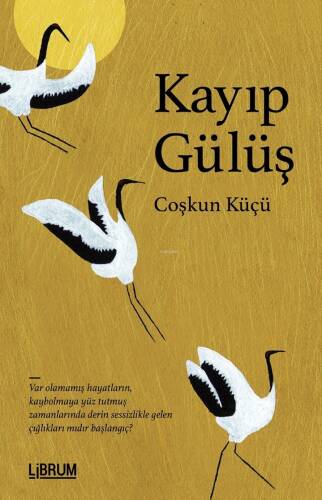 Kayıp Gülüş - 1