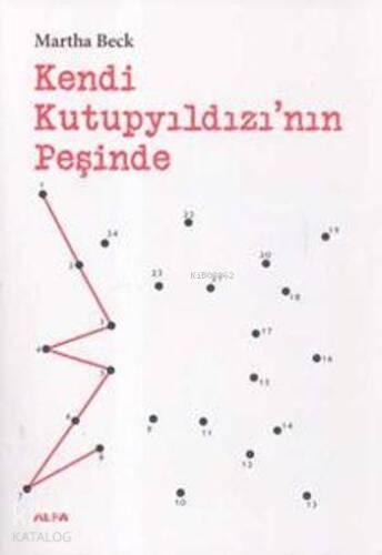 Kendi Kutupyıldızı'nın Peşinde - 1