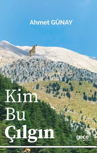 Kim Bu Çılgın - 1