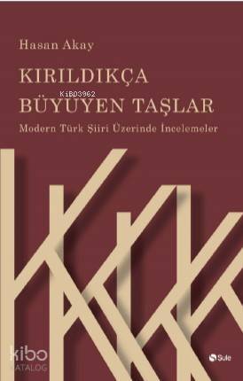 Kırıldıkça Büyüyen Taşlar - 1