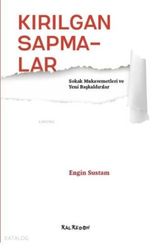 Kırılgan Sapmalar;Sokak Mukavemetleri ve Yeni Başkaldırılar - 1