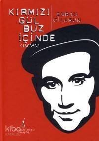 Kırmızı Gül Buz İçinde - 1