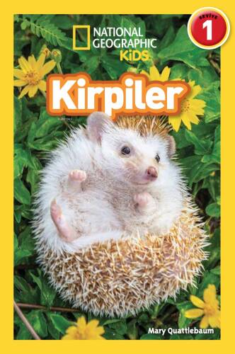 Kirpiler - 1