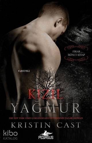 Kızıl Yağmur - Firar 2.Kitap - 1