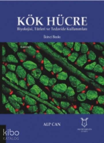 Kök Hücre Biyolojisi, Türleri ve Tedavide Kullanımları - 1