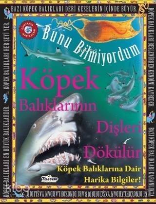 Köpek Balıklarının Dişleri Dökülür - Bunu Bilmiyordum Köpek Balıklarına Dair Harika Bilgiler! - 1