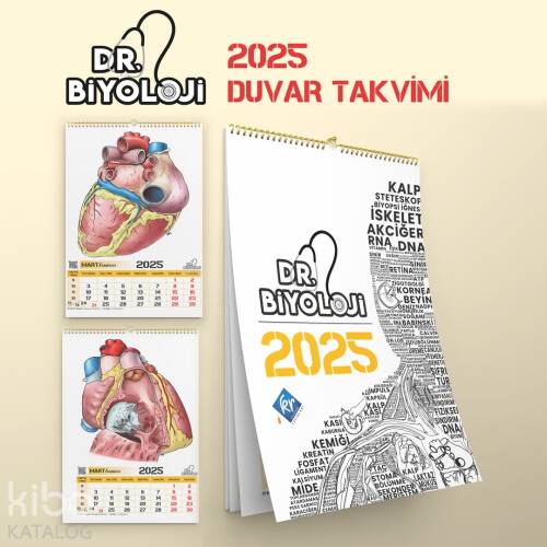 Kr Akademi Barış Hoca Dr. Biyoloji Poster Takvim - 1