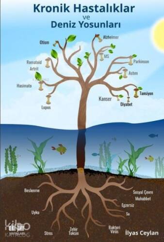 Kronik Hastalıklar ve Deniz Yosunları - 1