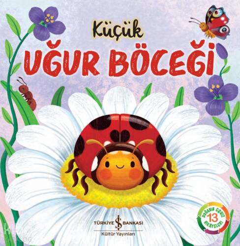 Küçük Uğur Böceği - 1