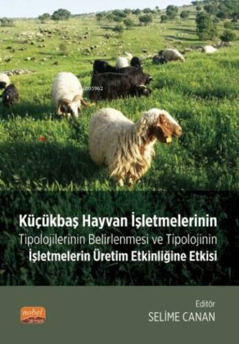 Küçükbaş Hayvan İşletmelerinin Tipolojilerinin Belirlenmesi ve Tipolojinin İşletmelerin Üretim Etkin - 1