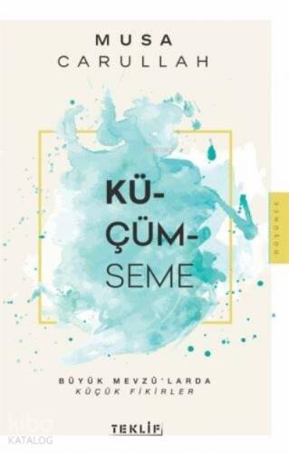 Küçümseme;Büyük Mevzu'larda Küçük Fikirler - 1