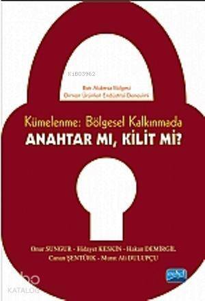 Kümelenme: Bölgesel Kalkınmada Anahtar mı? Kilit mi?; Batı Akdeniz Bölgesi Orman Ürünleri Endüstrisi Deneyimi - 1