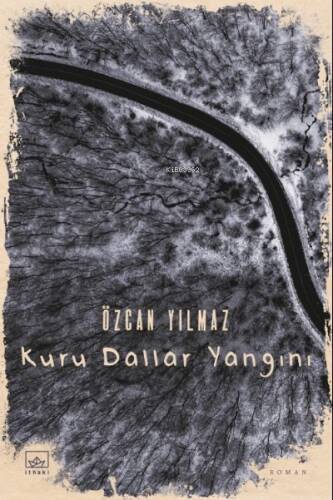 Kuru Dallar Yangını - 1