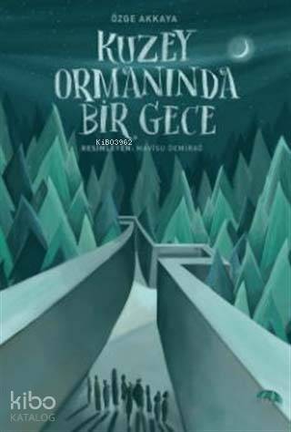 Kuzey Ormanında Bir Gece - 1