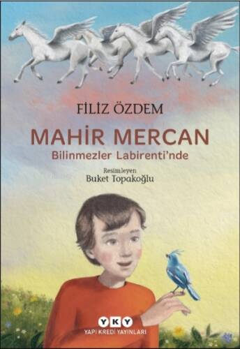 Mahir Mercan - Bilinmezler Labirenti’nde - 1