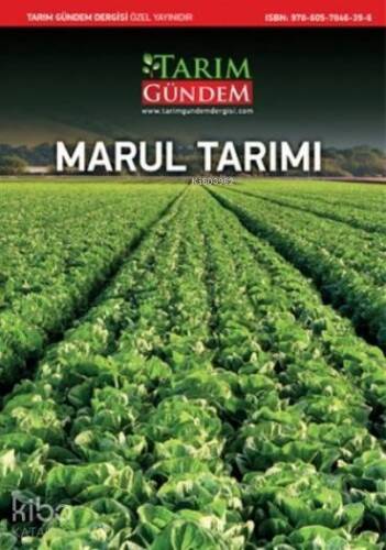 Marul Tarımı - 1