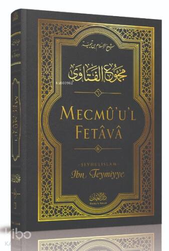 Mecmû'u'l-Fetâvâ (6. cilt) - 1