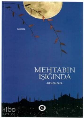 Mehtabın Işığında -Denemeler - 1