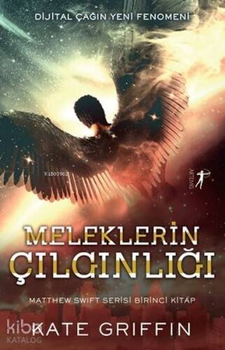 Meleklerin Çılgınlığı; Matthew Swift Birinci Kitap - 1