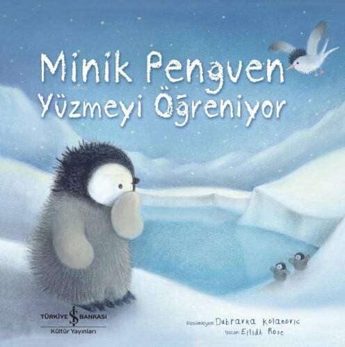 Minik Penguen Yüzmeyi Öğreniyor - 1