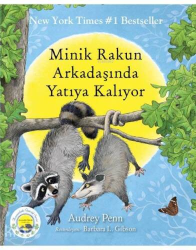 Minik Rakun Arkadaşında Yatıya Kalıyor - 1