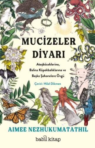 Mucizeler Diyarı;Ateşböceklerine, Balina Köpekbalıklarına ve Başka Şahanelere Övgü - 1