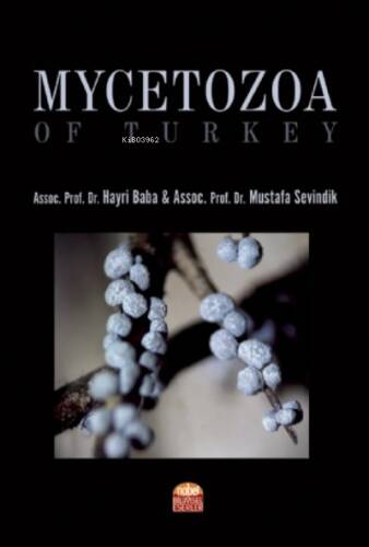 Mycetozoa of Turkey - 1