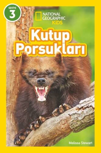 National Geographic Kids – Kutup Porsukları - 1