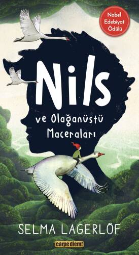 Nils ve Olağanüstü Maceraları - 1