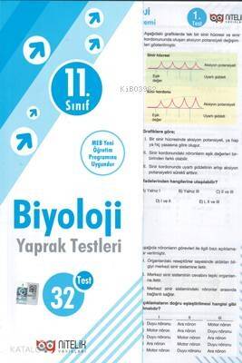 Nitelik - 11. Sınıf Biyoloji Yaprak Testleri - 1