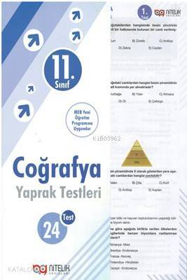 Nitelik - 11. Sınıf Coğrafya Yaprak Testleri - 1