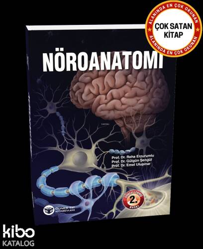 Nöroanatomi - 1