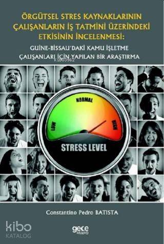 Örgütsel Stres Kaynaklarının Çalışanların İş Tatmini Üzerindeki Etkisinin İncelenmesi; Guine-Bissau'daki Kamu İşletme Çalışanları İçin Yapılan Bir Araştırma - 1