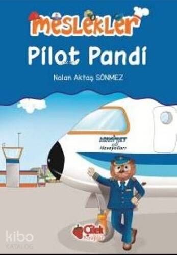 Pilot Pandi; Meslekler - 1